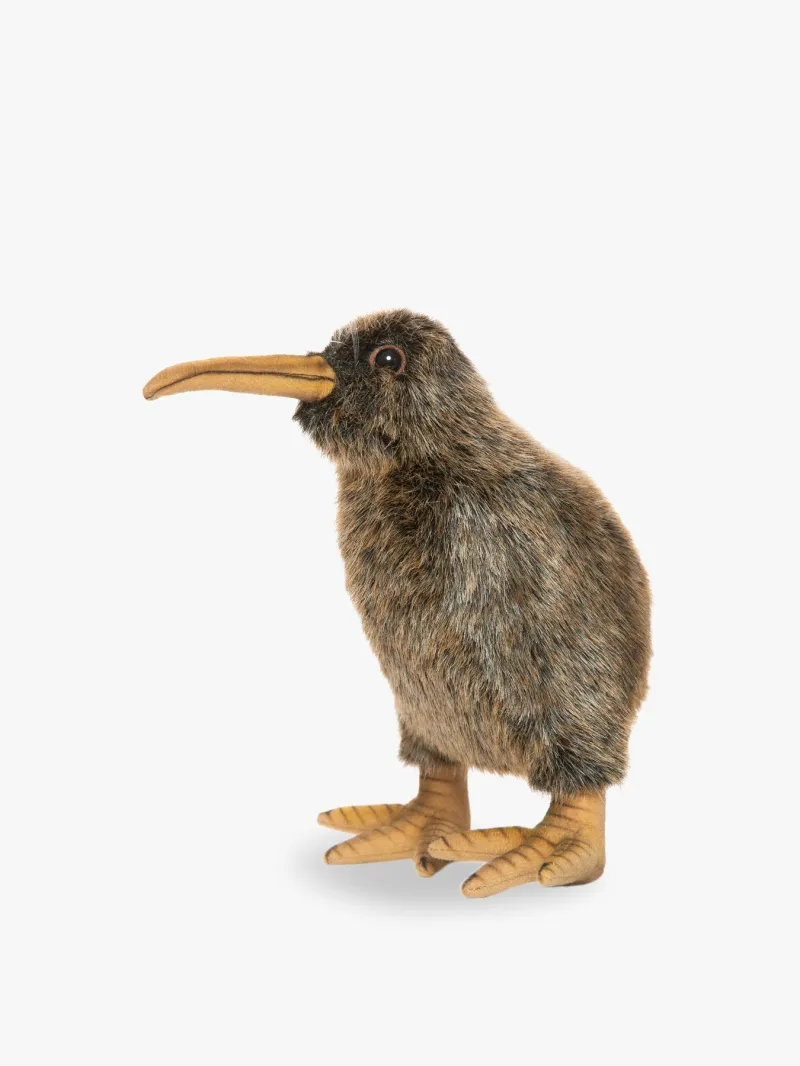 11-99kiwi_68619256ac85f