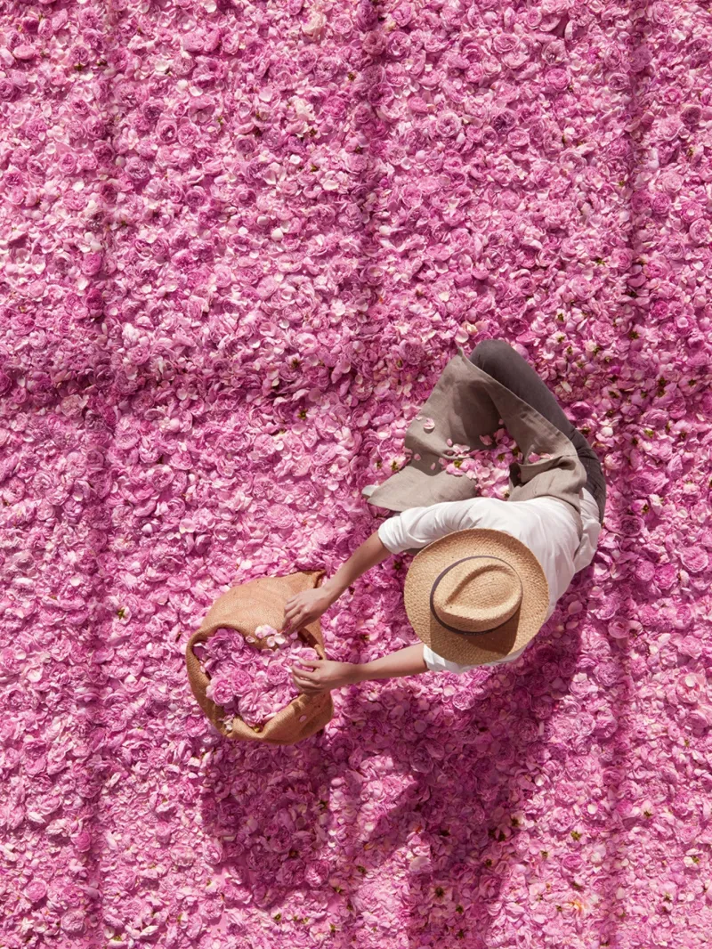 28-70miss-dior-fresh-body-crea_6861a0b54f481